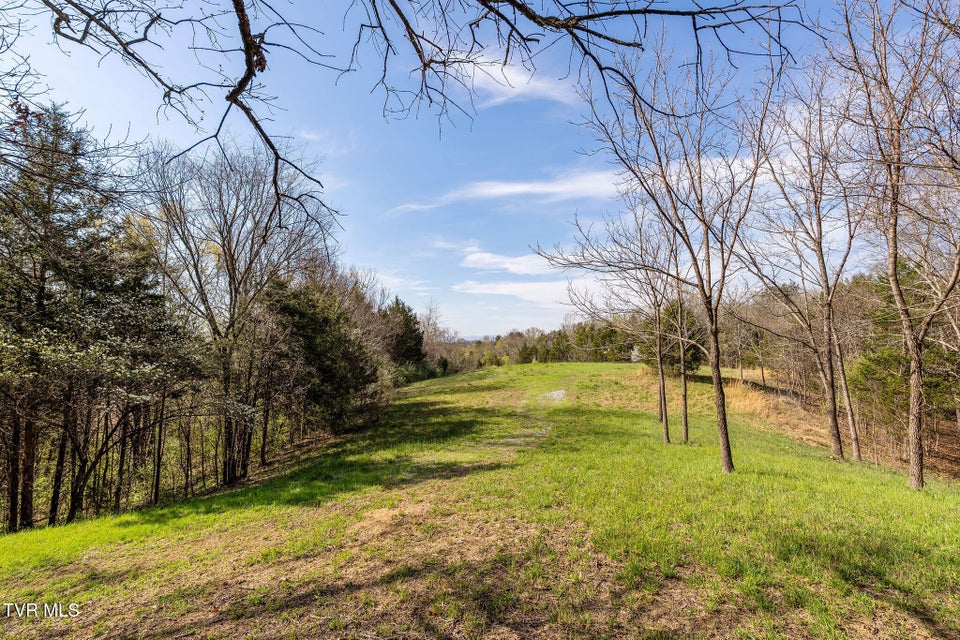 Photo #9: 000 Horseshoe Bend Road