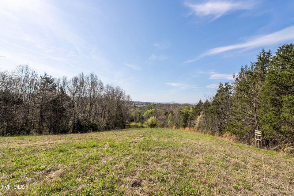 Photo #8: 000 Horseshoe Bend Road