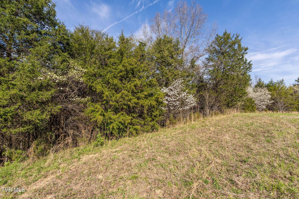 Photo #10: 000 Horseshoe Bend Road