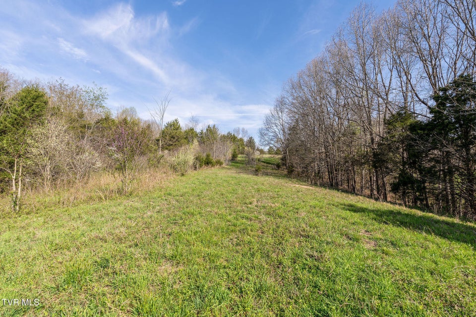 Photo #4: 000 Horseshoe Bend Road