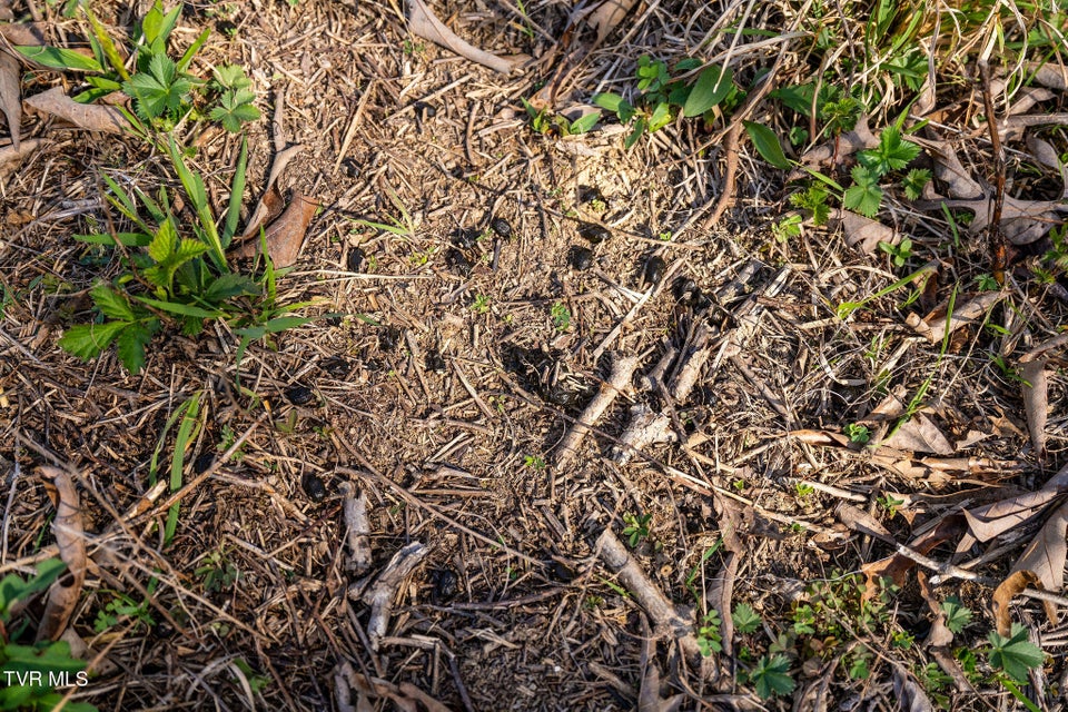 Photo #28: 000 Horseshoe Bend Road