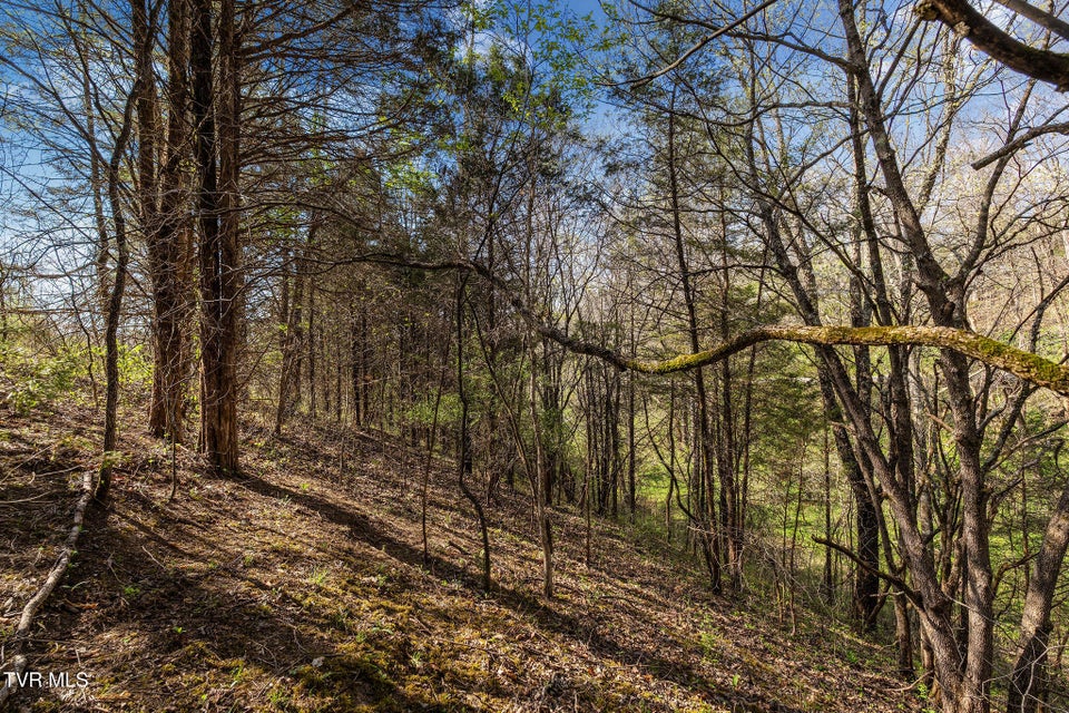 Photo #29: 000 Horseshoe Bend Road