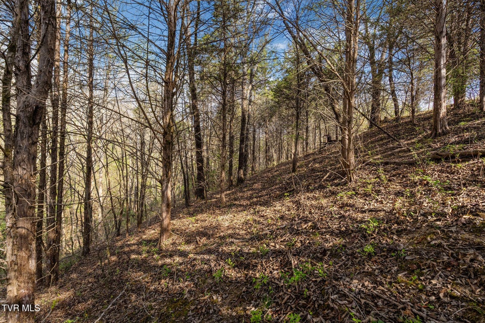 Photo #30: 000 Horseshoe Bend Road