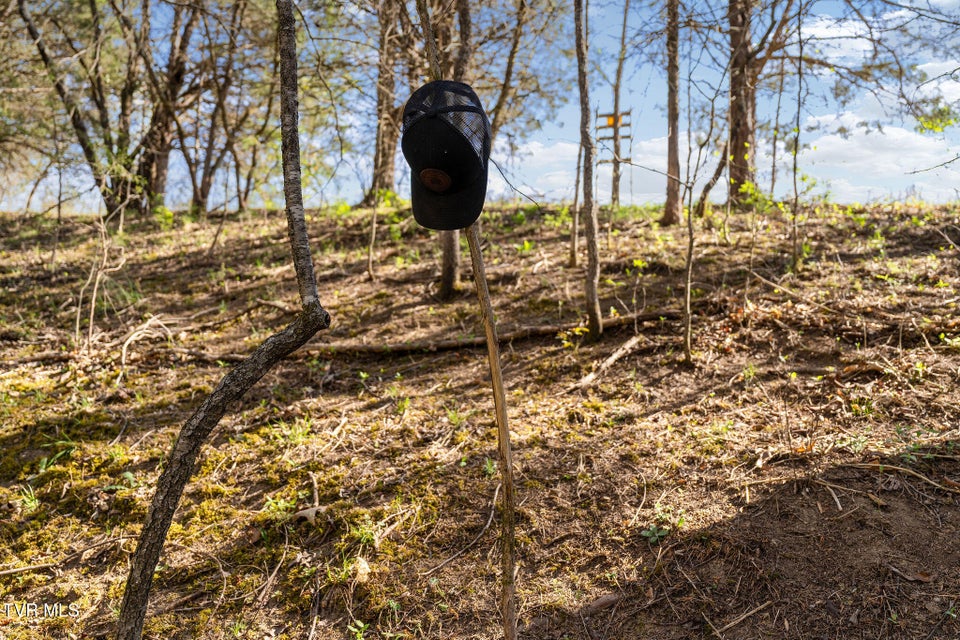 Photo #31: 000 Horseshoe Bend Road