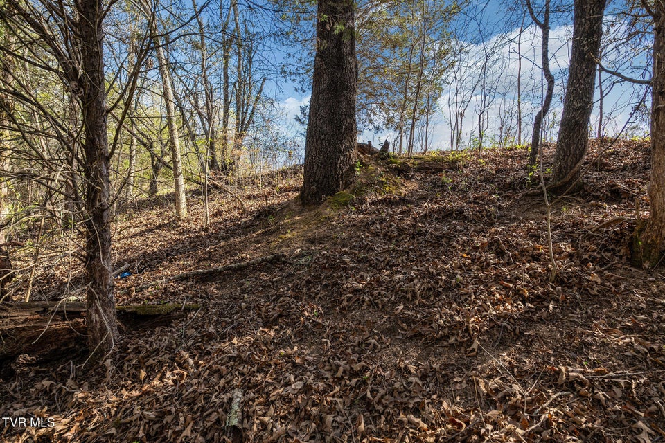 Photo #32: 000 Horseshoe Bend Road