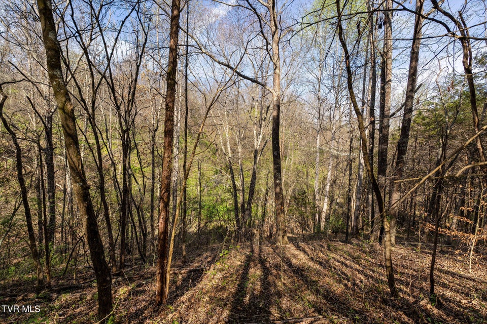Photo #33: 000 Horseshoe Bend Road