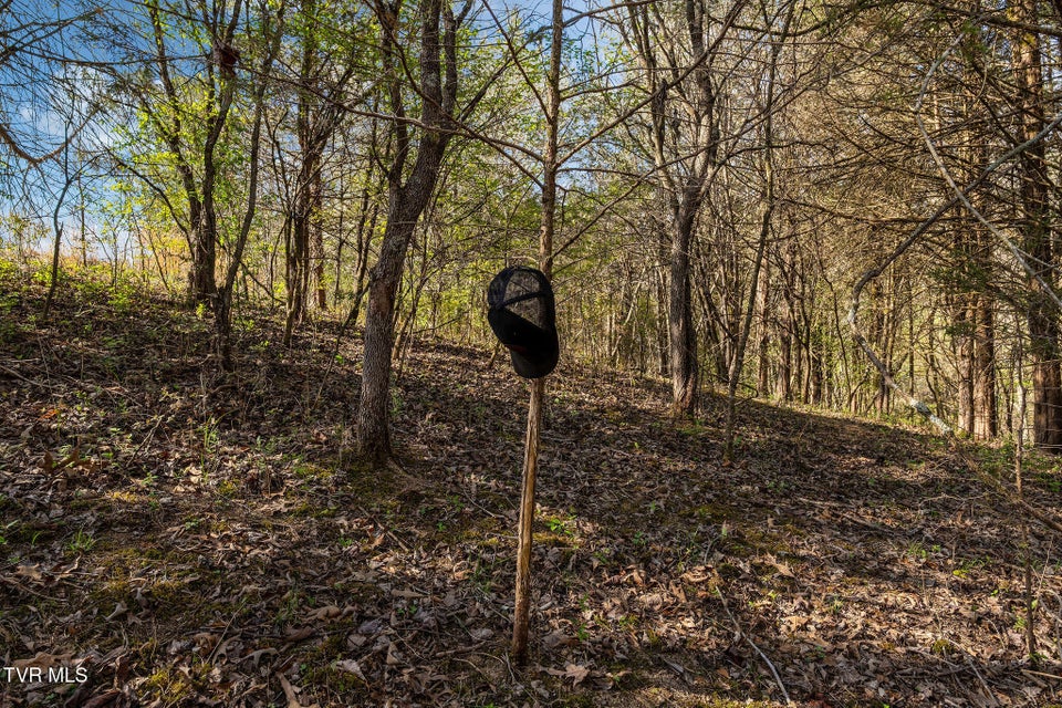 Photo #34: 000 Horseshoe Bend Road