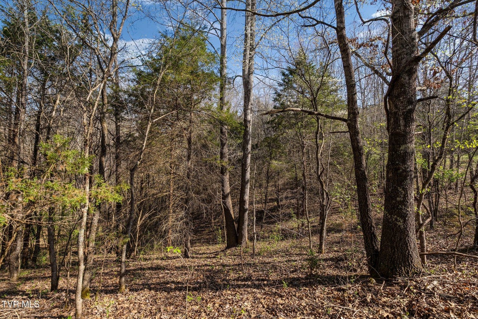 Photo #35: 000 Horseshoe Bend Road