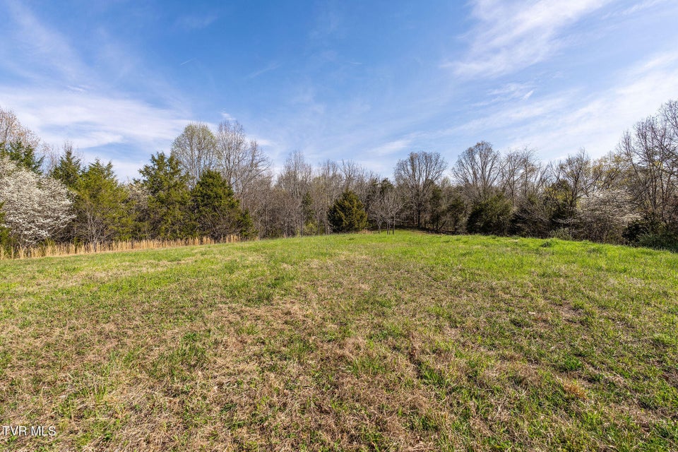 Photo #5: 000 Horseshoe Bend Road