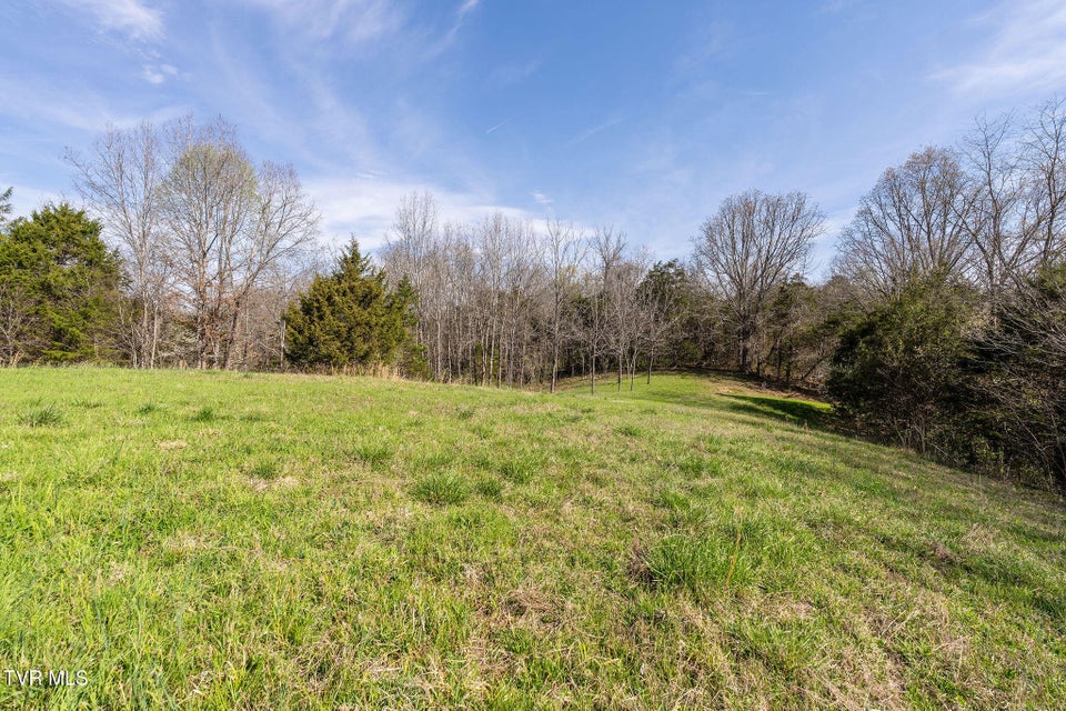 Photo #6: 000 Horseshoe Bend Road