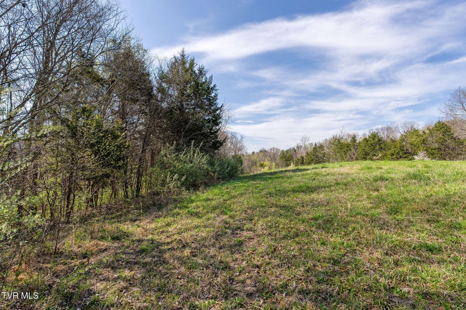 Photo #7: 000 Horseshoe Bend Road