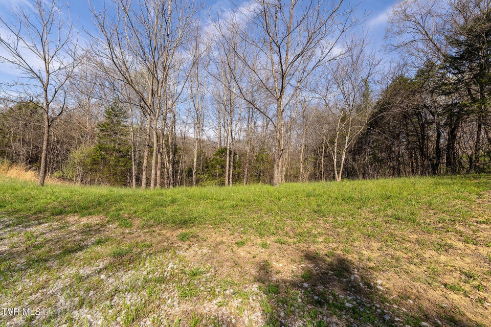 Photo #11: 000 Horseshoe Bend Road