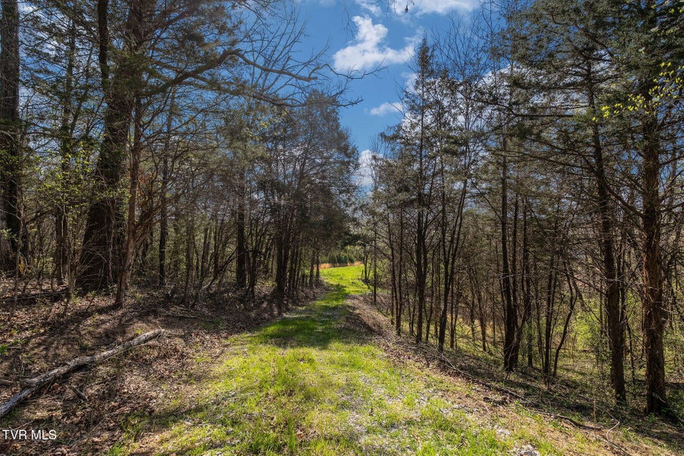 Photo #36: 000 Horseshoe Bend Road