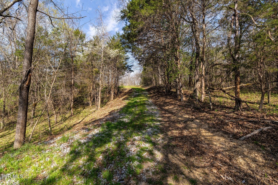 Photo #37: 000 Horseshoe Bend Road