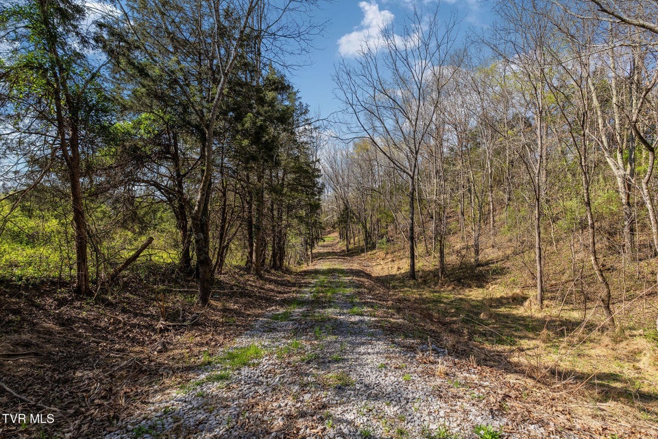 Photo #38: 000 Horseshoe Bend Road