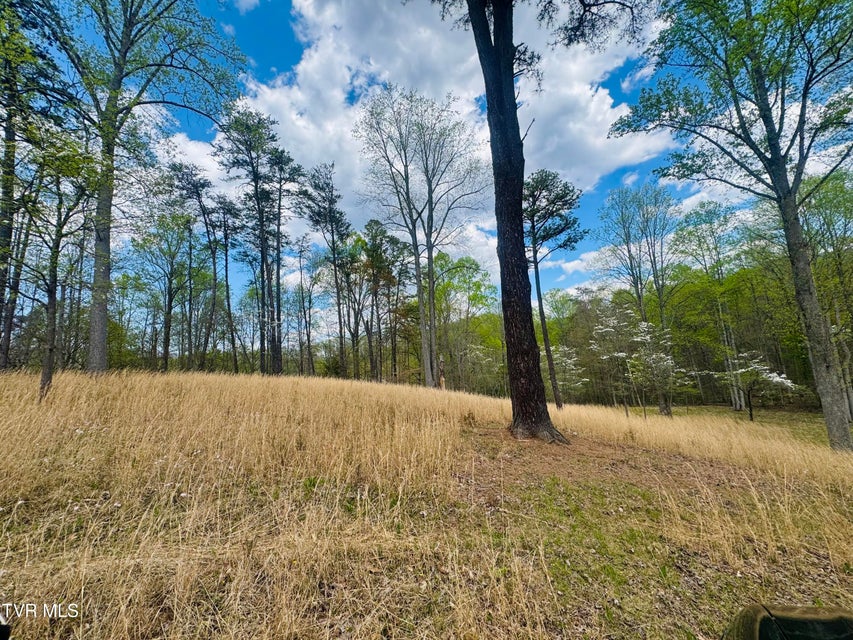 Photo #4: 160 Bob S Hollow Road