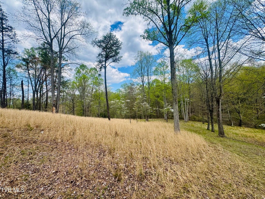 Photo #7: 160 Bob S Hollow Road