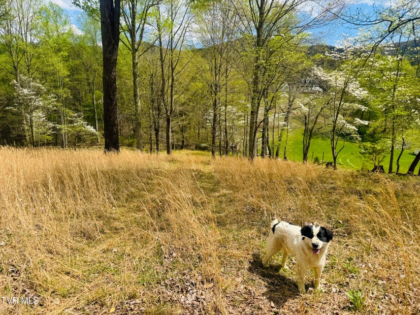 Photo #8: 160 Bob S Hollow Road