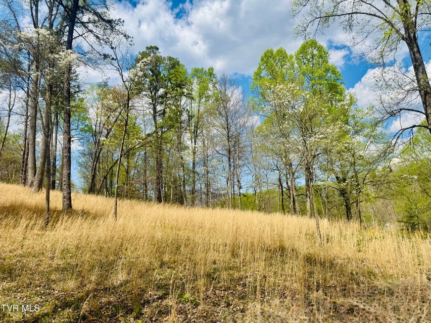 Photo #9: 160 Bob S Hollow Road