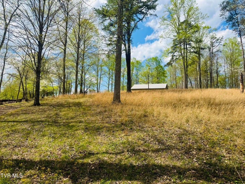 Photo #10: 160 Bob S Hollow Road