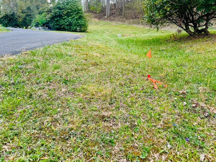 Photo #16: 160 Bob S Hollow Road