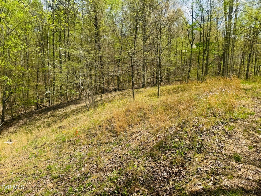 Photo #19: 160 Bob S Hollow Road