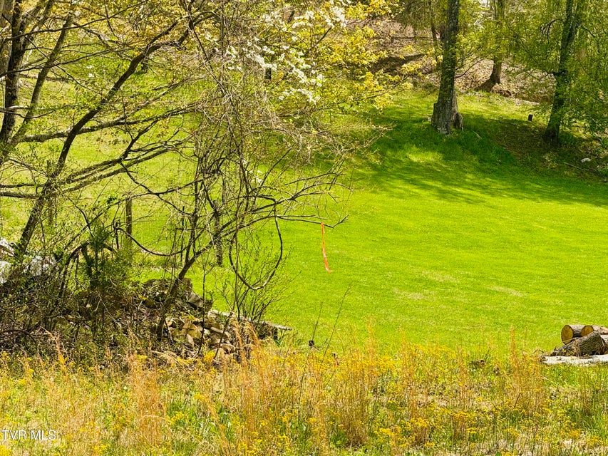 Photo #20: 160 Bob S Hollow Road