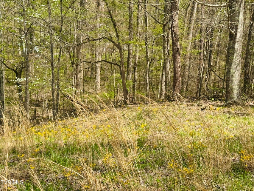 Photo #22: 160 Bob S Hollow Road