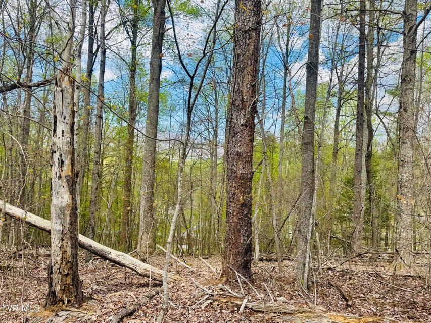 Photo #23: 160 Bob S Hollow Road