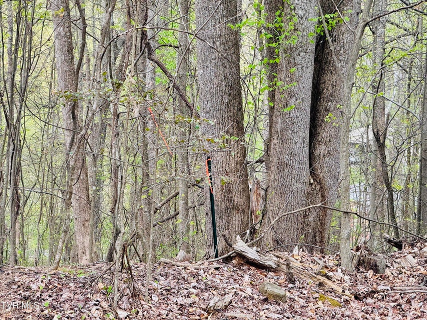 Photo #24: 160 Bob S Hollow Road