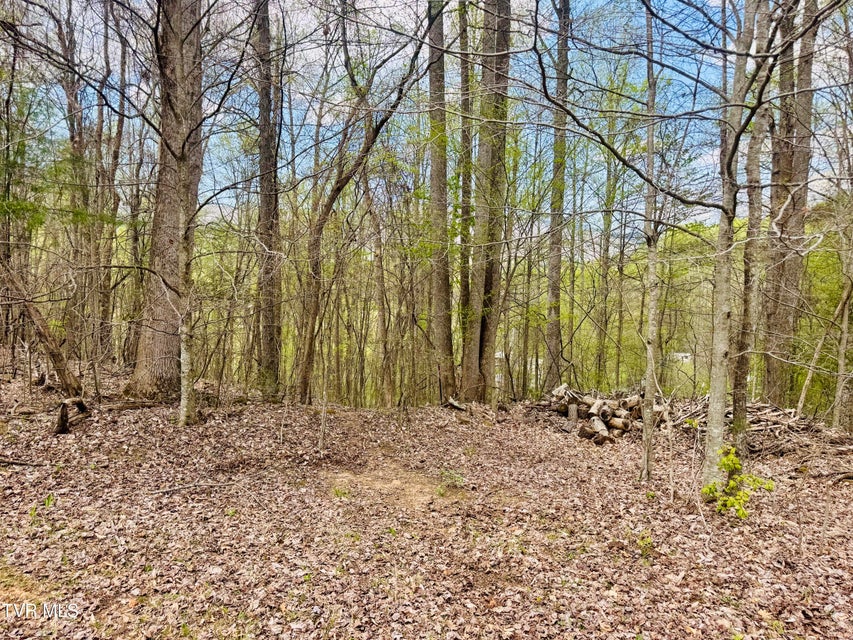 Photo #25: 160 Bob S Hollow Road