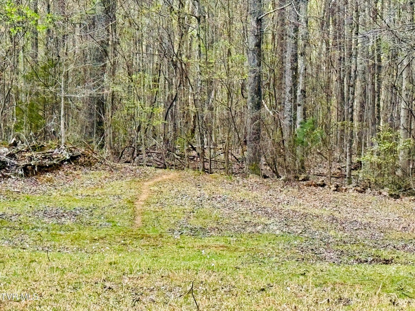 Photo #26: 160 Bob S Hollow Road