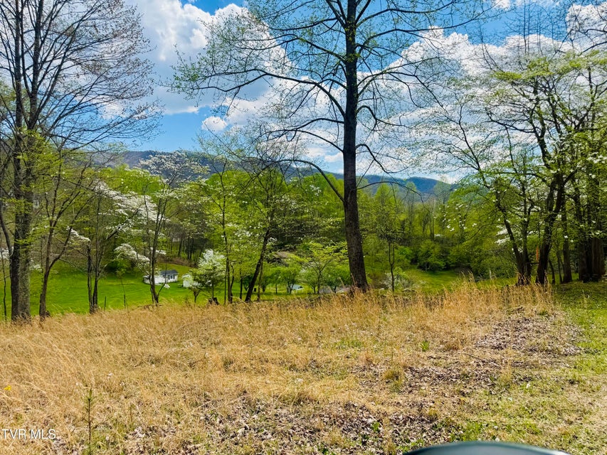 Photo #27: 160 Bob S Hollow Road