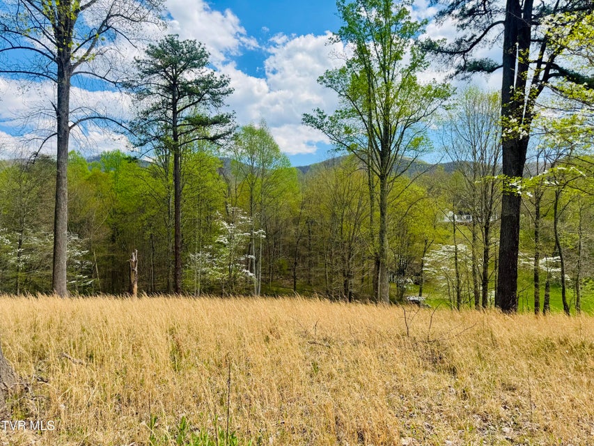 Photo #28: 160 Bob S Hollow Road