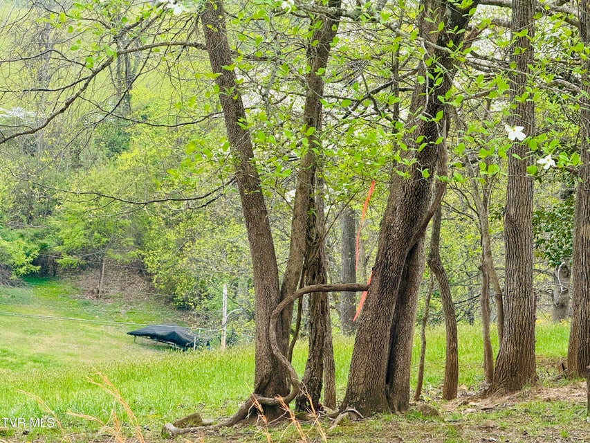 Photo #29: 160 Bob S Hollow Road