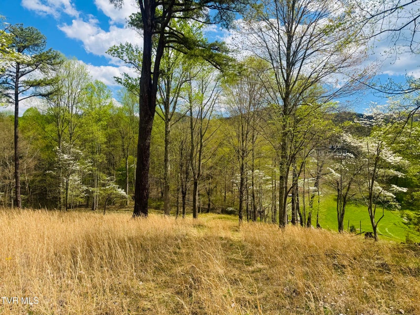 Photo #31: 160 Bob S Hollow Road