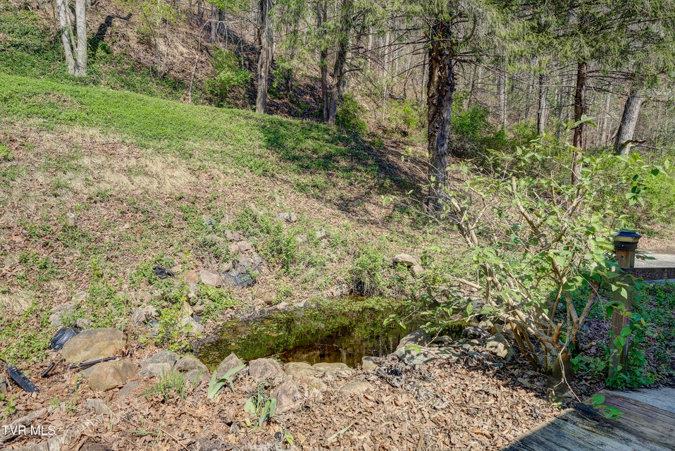 Photo #62: 375 Okolona Drive