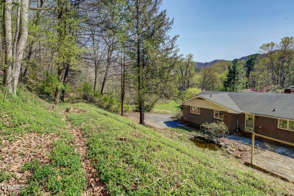 Photo #64: 375 Okolona Drive