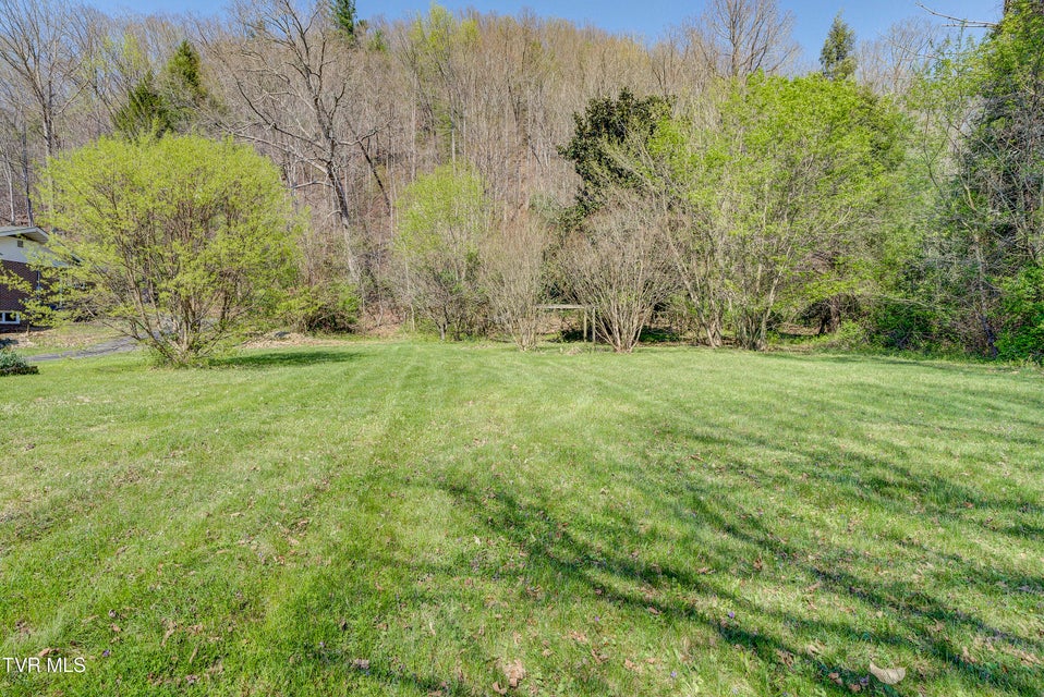 Photo #54: 375 Okolona Drive