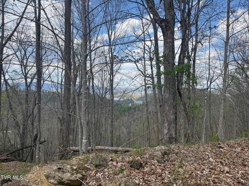 Photo #33: Tbd Lonesome Pine Trail