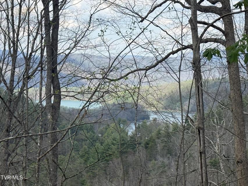 Photo #34: Tbd Lonesome Pine Trail