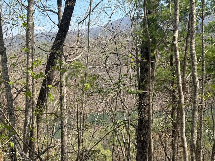 Photo #35: Tbd Lonesome Pine Trail