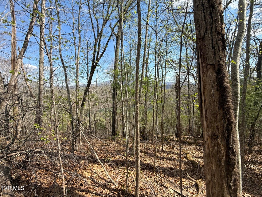 Photo #36: Tbd Lonesome Pine Trail