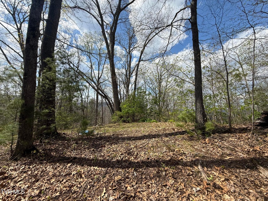 Photo #37: Tbd Lonesome Pine Trail