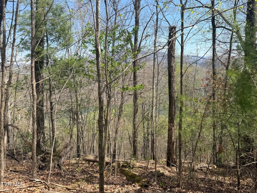 Photo #38: Tbd Lonesome Pine Trail