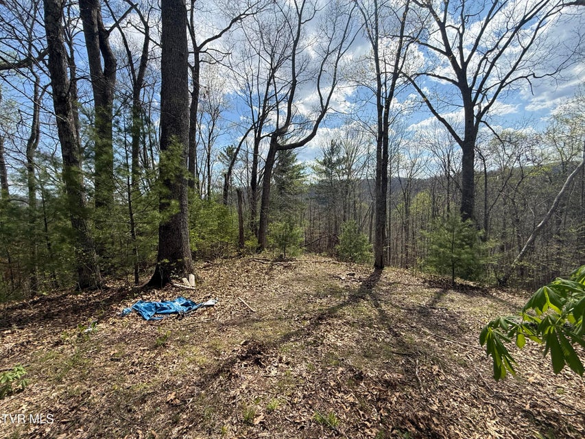 Photo #39: Tbd Lonesome Pine Trail