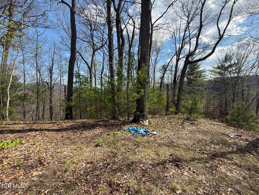 Photo #40: Tbd Lonesome Pine Trail