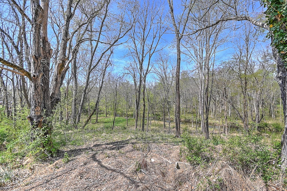 Photo #66: 2061 King College Road