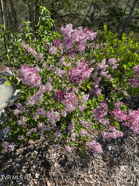 Photo #47: 701 Doc Hawkins Road