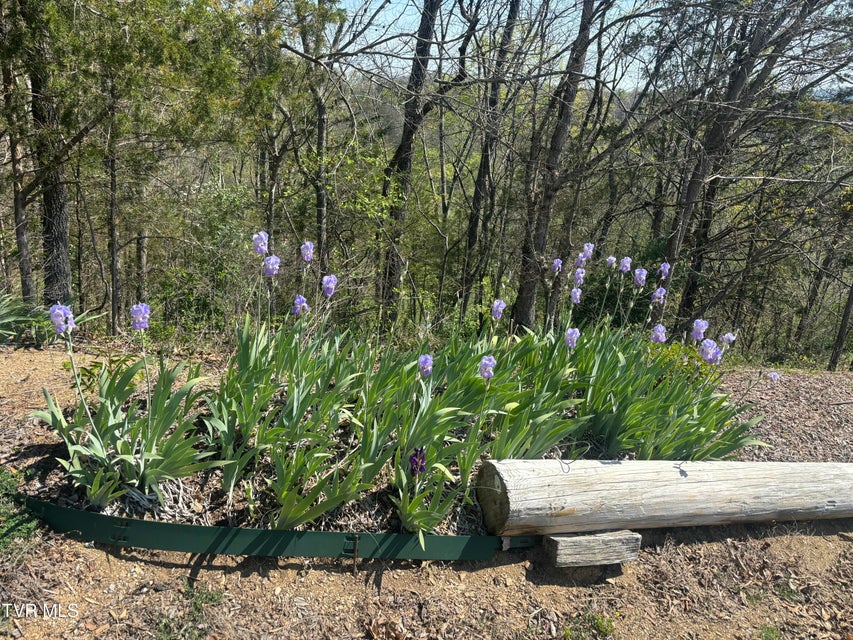 Photo #48: 701 Doc Hawkins Road